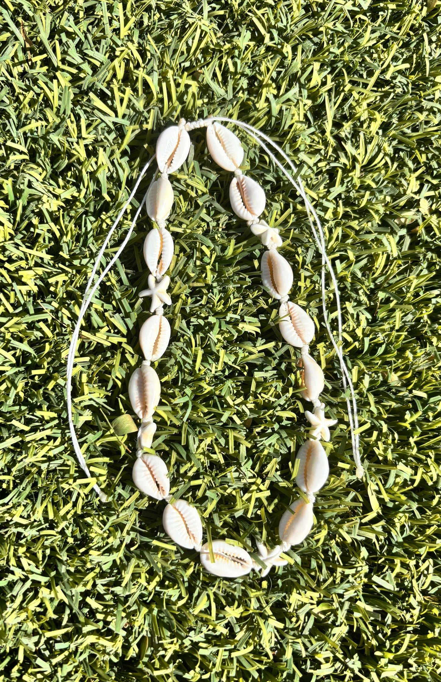white cowrie shell necklace