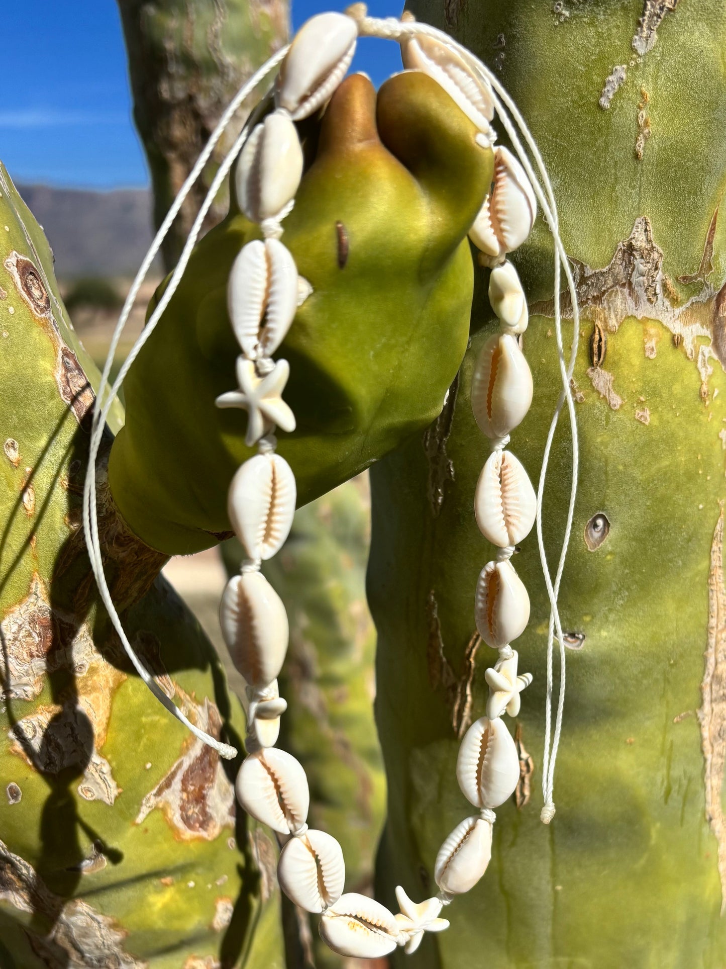 white cowrie shell necklace