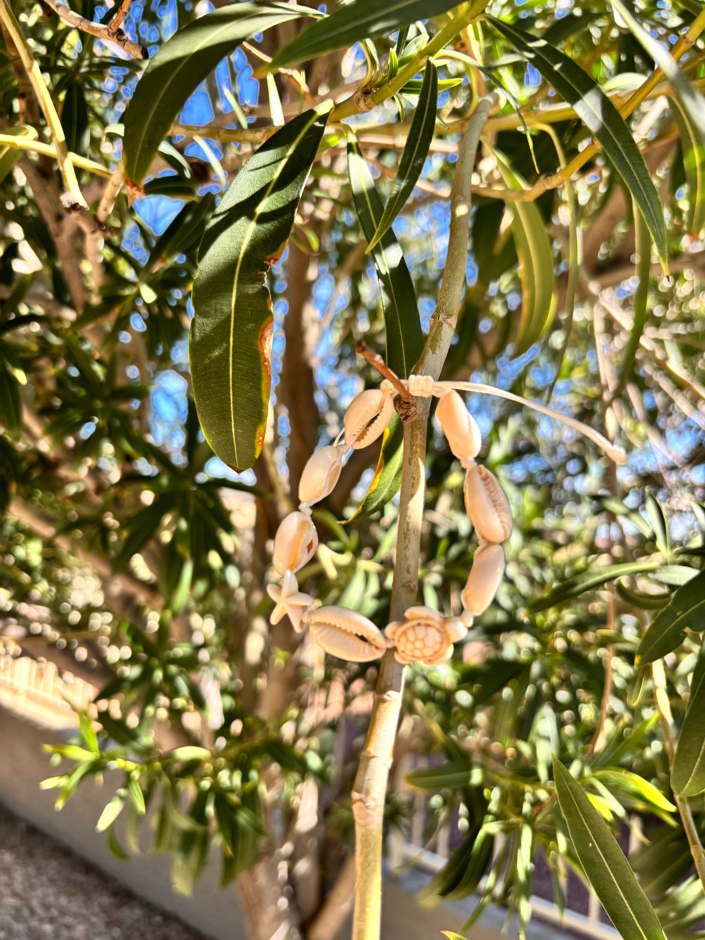 white Cowrie shell bracelet