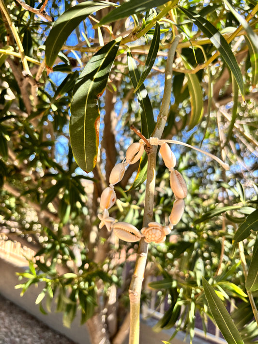 white Cowrie shell bracelet