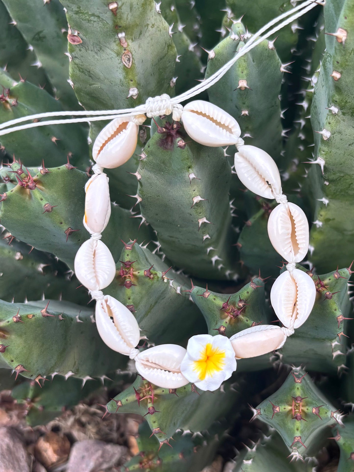 white cowrie shell anklet